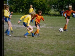0DIA 1984 RAVA PUPS 1